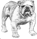 oregonwatchdog.com