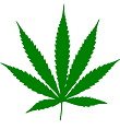 marijuana leaf_thb