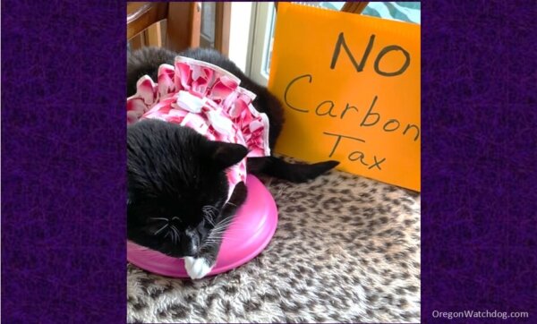 Oregon Carbon Tax cause pet depression? The Oregon Catalyst