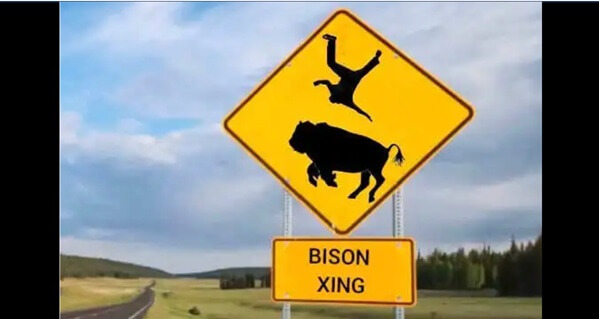 (9 memes) We got the Bison, Canada smoke jokes, more …